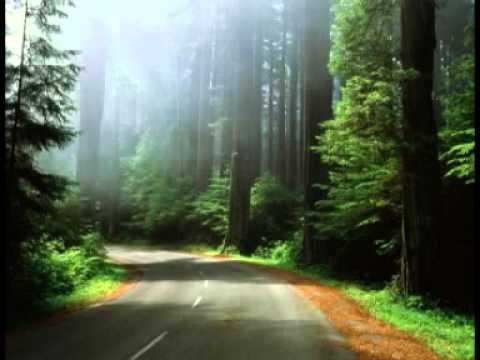 PASHTU TAQRIR DA ZINA AO LAWATAT NUQSANAAT,Uploaded by haji nowsherwan adil