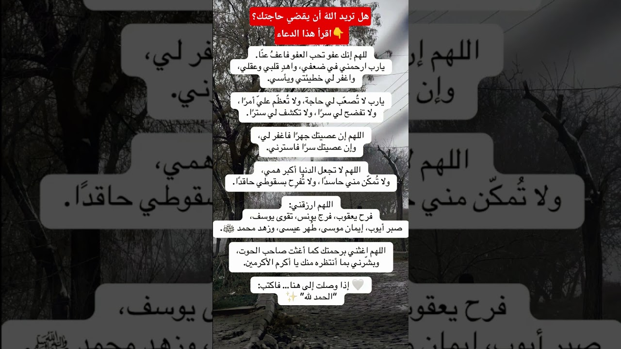 #اكسبلور #shortsvideo #علم_النفس #معلومات #shortsyoutube #علم #اقتباسات #اقوال #shorts #خواطر