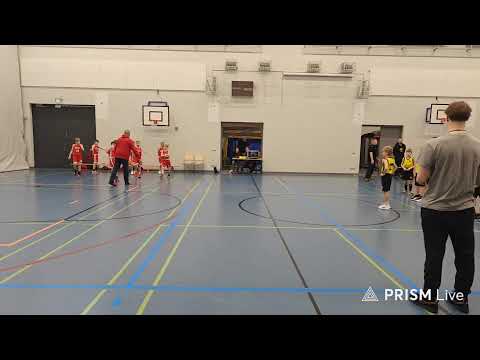 Lieto-Koris - Salon Vilpas