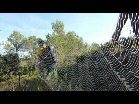 ARAÑUEL Y EL MIRADOR DE LA TORRE