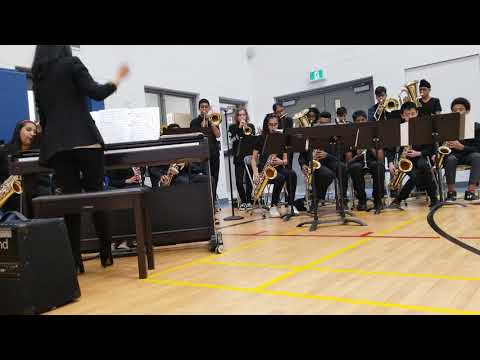 Woodchoppers Ball arr. Michael Sweeney performed by Dolson Jazz Band