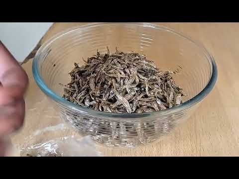 Creamy Omena Recipe | Easy & Delicious 😋