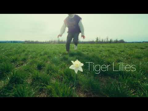 Quinn XCII - Tiger Lillies (Official Lyric Video)