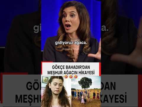 O Meşhur Ağaç ve Yaprak Dökümü #yaprakdökümü