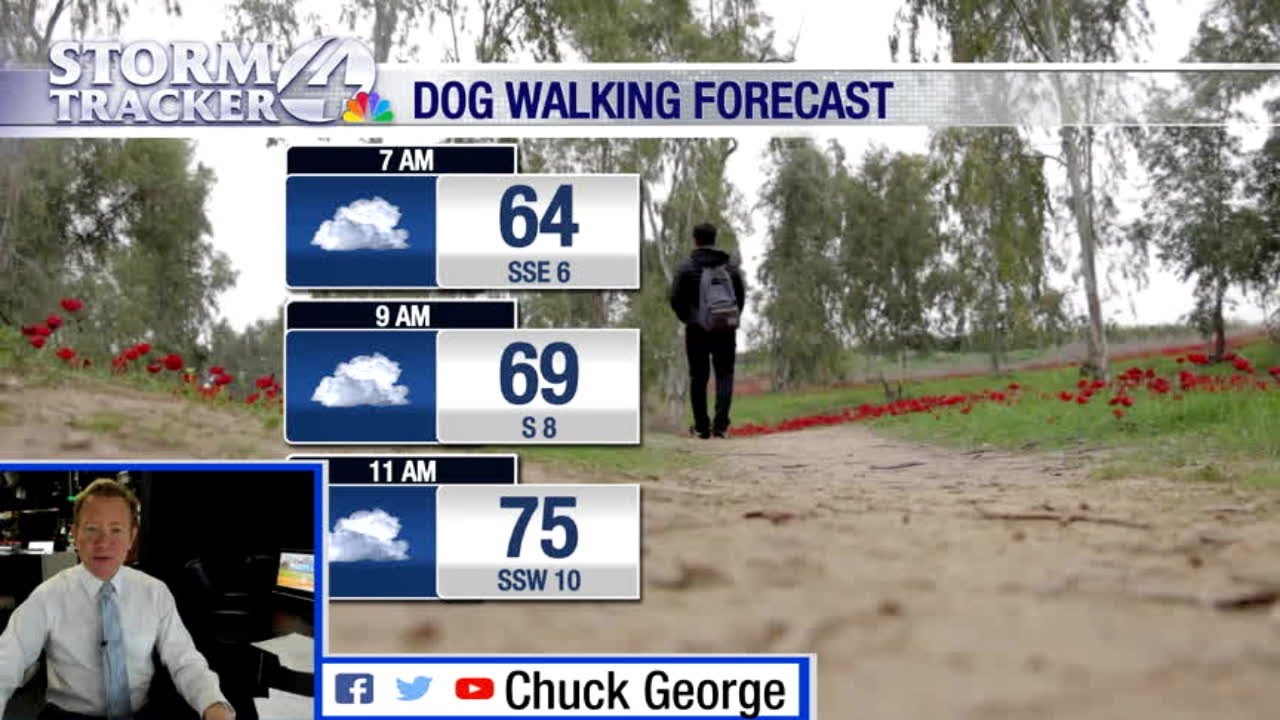 Video thumbnail for The Wind!