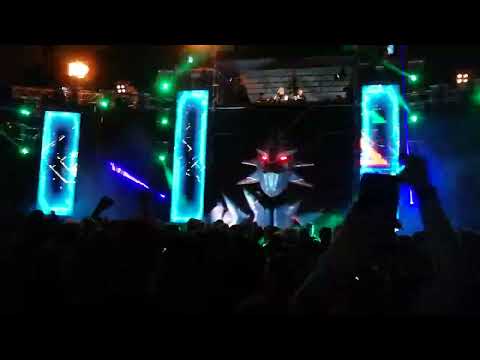 LIR OA 2023 0804 09 R Pythius b2b Merikan