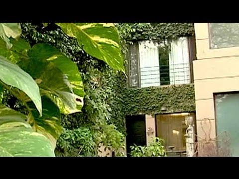 download lagu mp3 mp4 Rina Dhaka Profile, download lagu Rina Dhaka Profile gratis, unduh video klip Rina Dhaka Profile