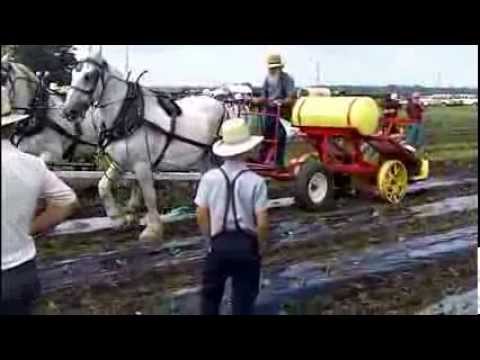 Produce Transplanter at The Horse Progress Days