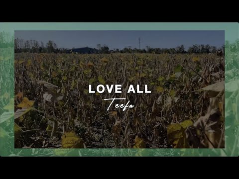 Video thumbnail rsGw3gHDvsA