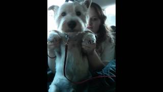 You Must Be Some Kind of Superstar