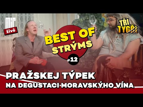 TŘI TYGŘI | Pražskej týpek na degustaci moravskýho vína | Best of strýms #12