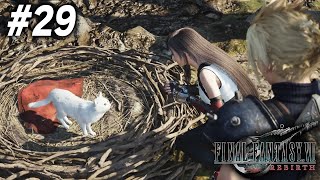 #29 赤い布！白い猫！お前まさか！【FF7リバース 実況】※ネタバレ注意