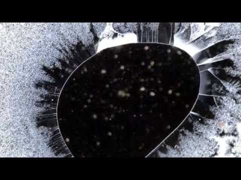 The Royal Exchange Theatre and Manchester International Festival present THE SKRIKER