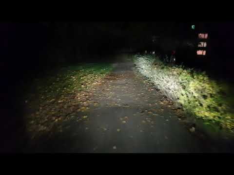 Busch und Müller Lumotec IQ-XL E-Bike Lampe 300 Lux und Fernlicht mit 250 Lux