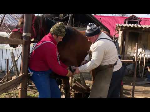 Tacuta, judetul  Vaslui - QR4ALL