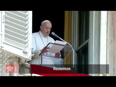 Apelo do Papa Francisco pela Amazônia
