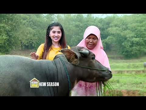 Cucu di Tinggal Orang Tua Bu Iyah Dan Pak Maman Hampir Putus Sekolah | BEDAH RUMAH EP 169(1/4)