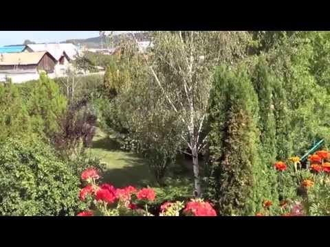 Parcul pensiunii familiei Constantinescu - CATERING SHOW - din Maracineni - Arges