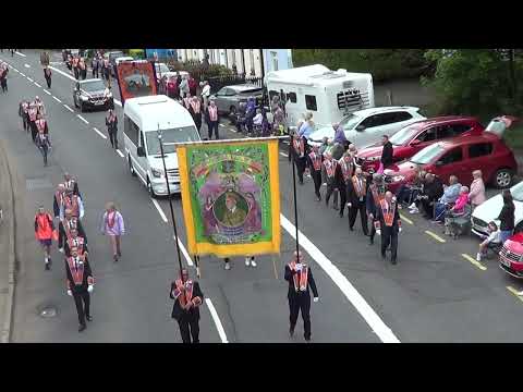 12th July 2024 Dunmurry #twelfth #marchingband #orange