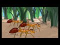 Killah Priest China Ants Official Music Video