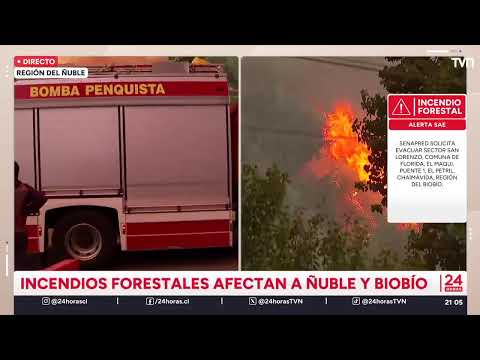 AHORA | INCENDIOS FORESTALES AFECTAN A ÑUBLE Y BIO BÍO