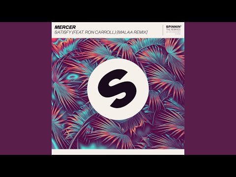 Satisfy (feat. Ron Carroll) (Malaa Remix)