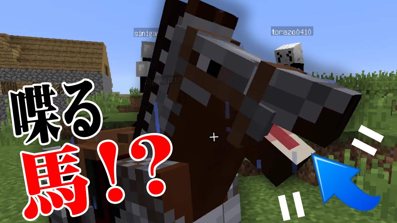 【Minecraft】マインクラフターの日常Z！【コラボ実況】#3