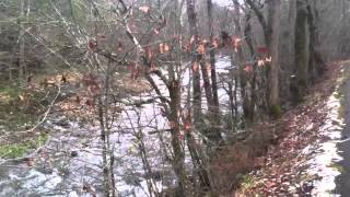 DON'T DISMISS NATIONAL PARKS AS A POSSIBLE OPTION FOR A BUG OUT LOCATION!!