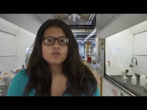 The Chemistry of Aging