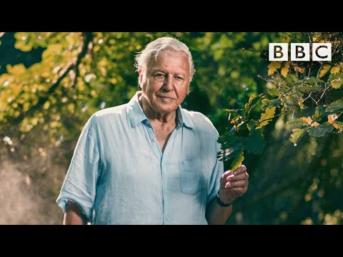 The BBC Put Together A Supercut Of David Attenborough's Greatest Moments In 95 Seconds