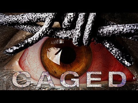 video-thumbnail