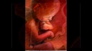 The Unborn Child - Song &quot;Colorblind&quot; by Counting Crows