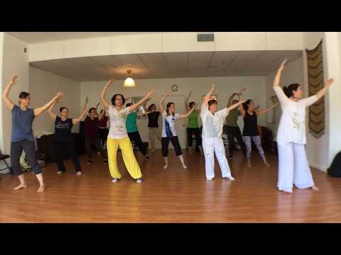 Taiji Qigong Shibashi set 1 - finissant de l'INMC 2017