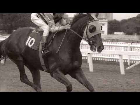 History of the L'Ormarins Queen's Plate