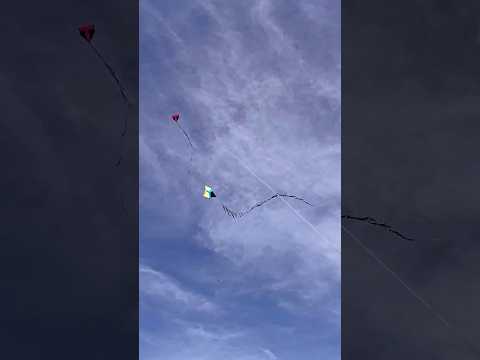 Digo do Rélo cortando geral! #pipa #pipas #pipasp #pipasrio