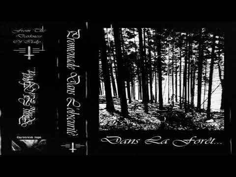 Dans La Forêt... - Promenade Dans L'Obscuritè (Full Demo)