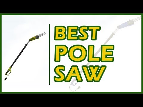 7 Best Pole Saw For Outdoor Needs Reviews