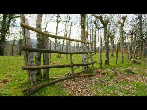 "La música de los dioses"