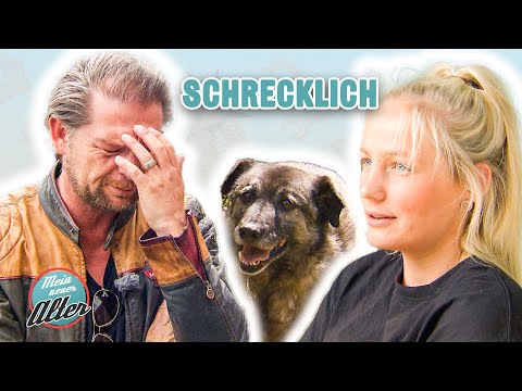 Tierrettung! - Kann Det helfen?  | Mein neuer Alter