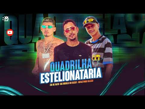 ZOI DE GATO MC MURILO DO RECIFE RENATINHO FALCÃO QUADRINHA ESTELIONATÁRIA