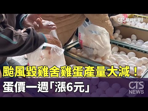 颱風毀雞舍雞蛋產量大減！　蛋價一週「漲6元」