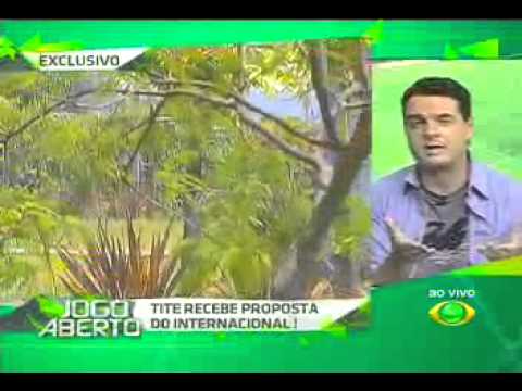 DEBATE Tite recebe proposta do inter , veja tbem palmeiras    Jogo Aberto 19112013
