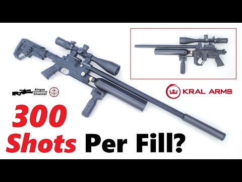 Kral Arms DAZZLE Luftgewehr Testbericht (Bis zu 300 Schuss) Puncher Jumbo PCP Pelletgewehr