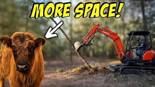 Beyond Tractors: Our SECRET Weapon for Homestead Land Management