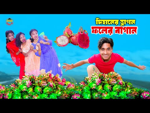 Dihan Enter10 and 4 more