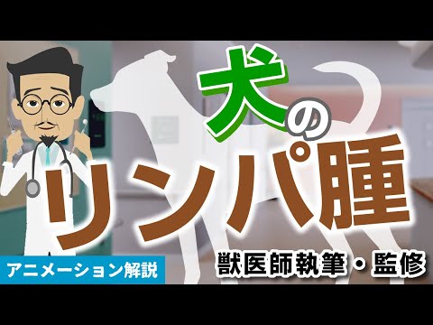 犬の胸が腫れている:原因と治療法