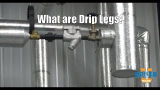 Steam Systems | What is a Drip Leg? - Weekly Boiler Tips