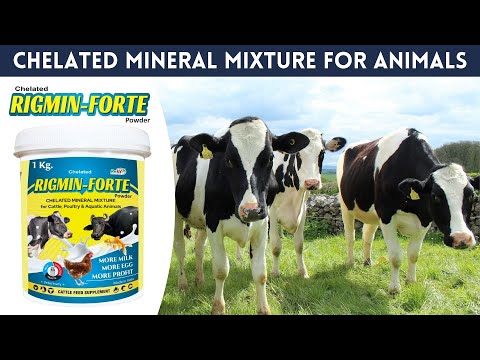Refit Fort Powder REFIT ANIMAL CARE Chelated Mineral Mixture Powder For Cow, Cattle, Goat ...