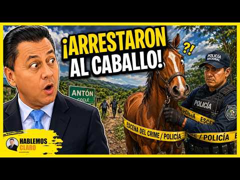 ¡RETENIDO EL CABALLO Y LOS LADRONES PRÓFUGOS EN ANTÓN!