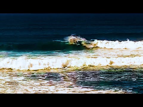 ETHAN EWING showcases SMOOTH STYLE at 2022 Sunset Beach Pro (Semi Final heat)